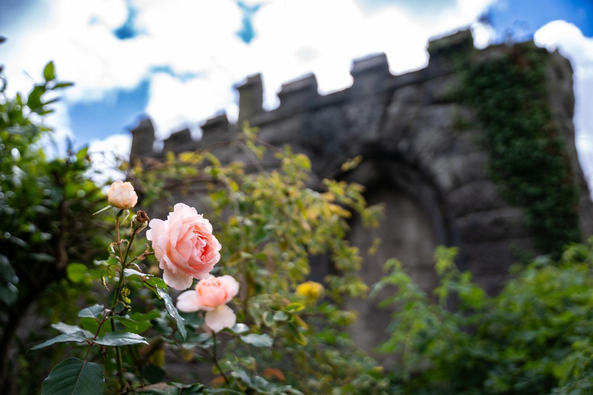 Lonsdale House Boutique Apartments Ulverston Bagian luar foto